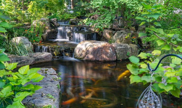Bioslap - Biološki filter za ribnik - Aqua Life Slovenija